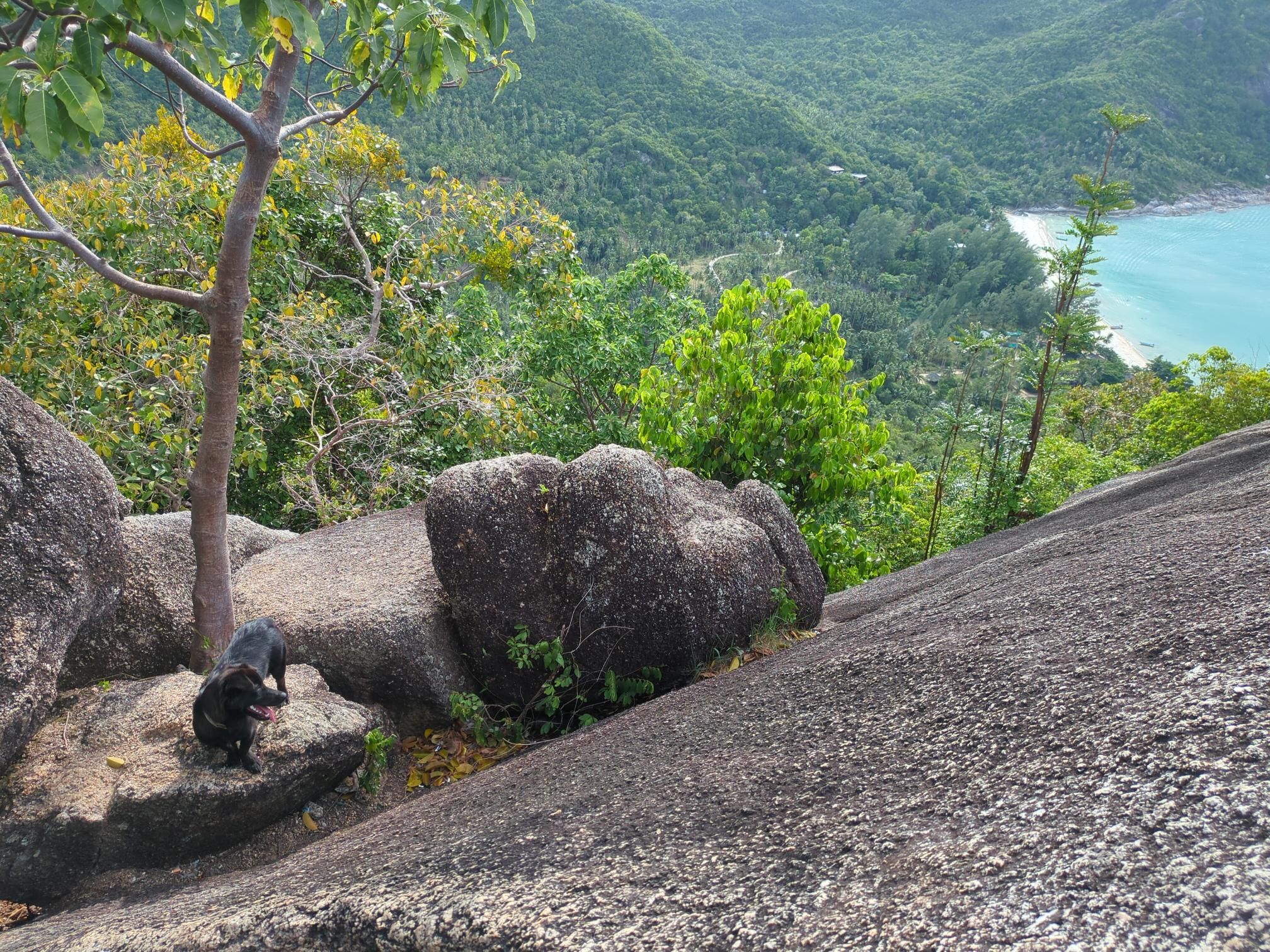 Bottle Beach Viewpoint Trek photo 2