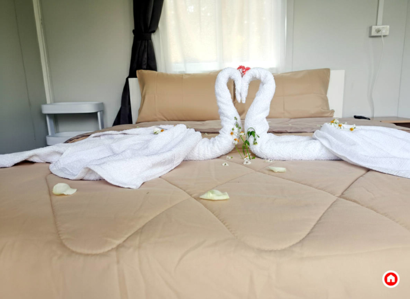 Romantic room setup with towel swans and flower petals