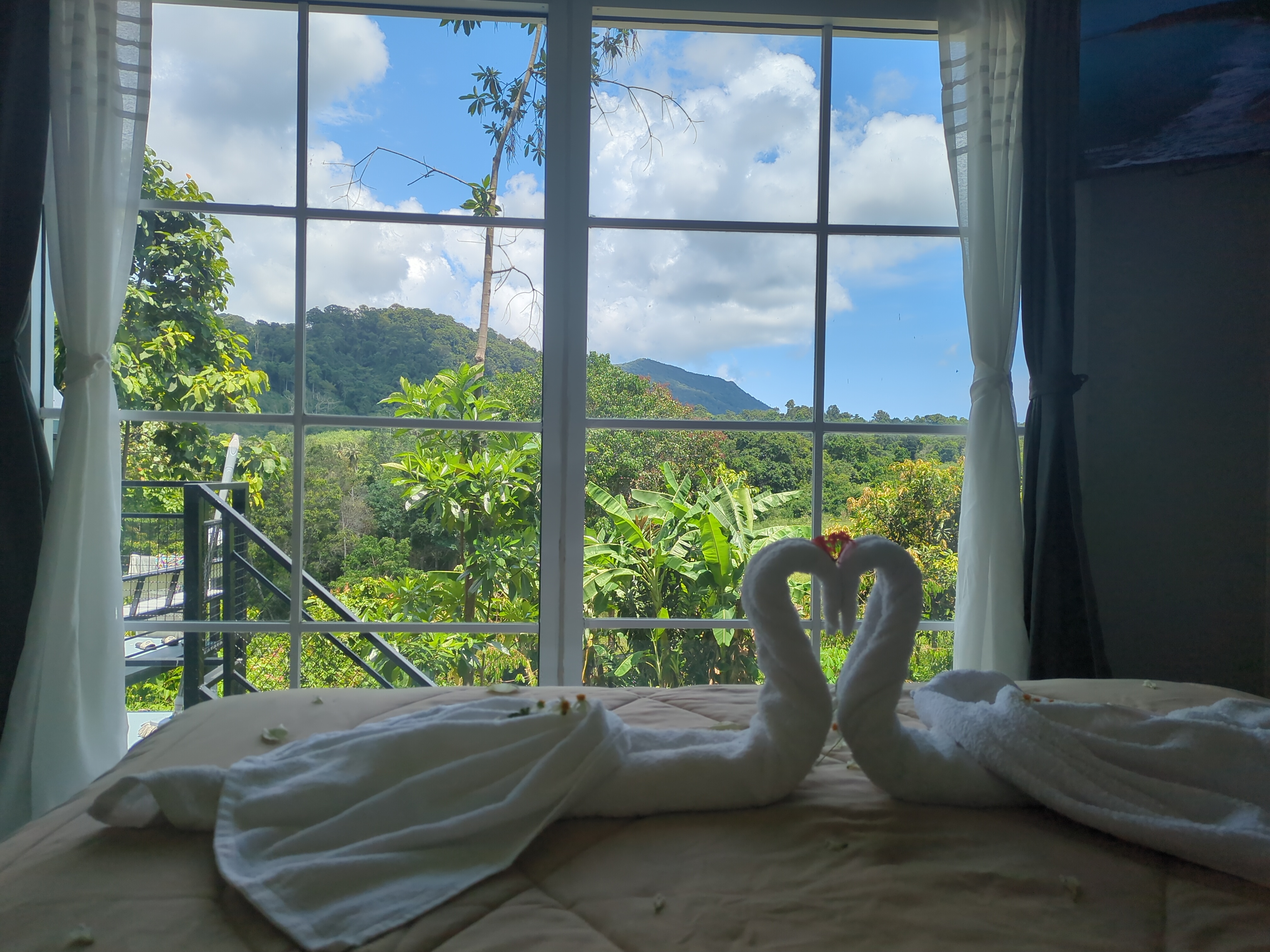 Room with large windows overlooking jungle landscape with romantic towel swans