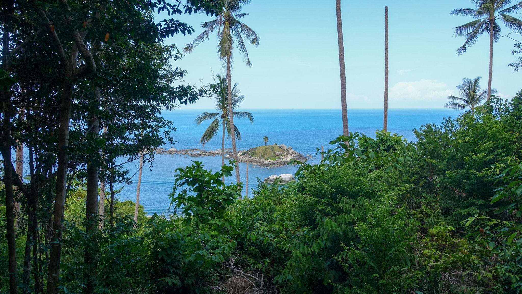 Jungle view to the coast