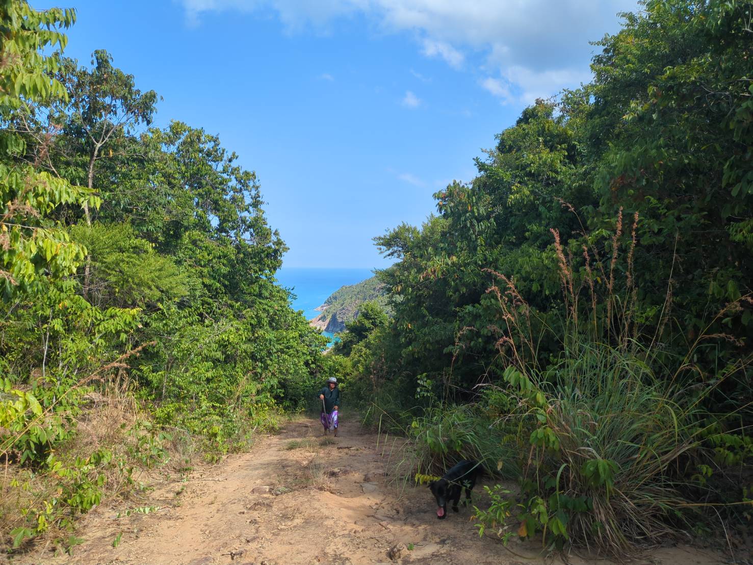 Trekking through jungle