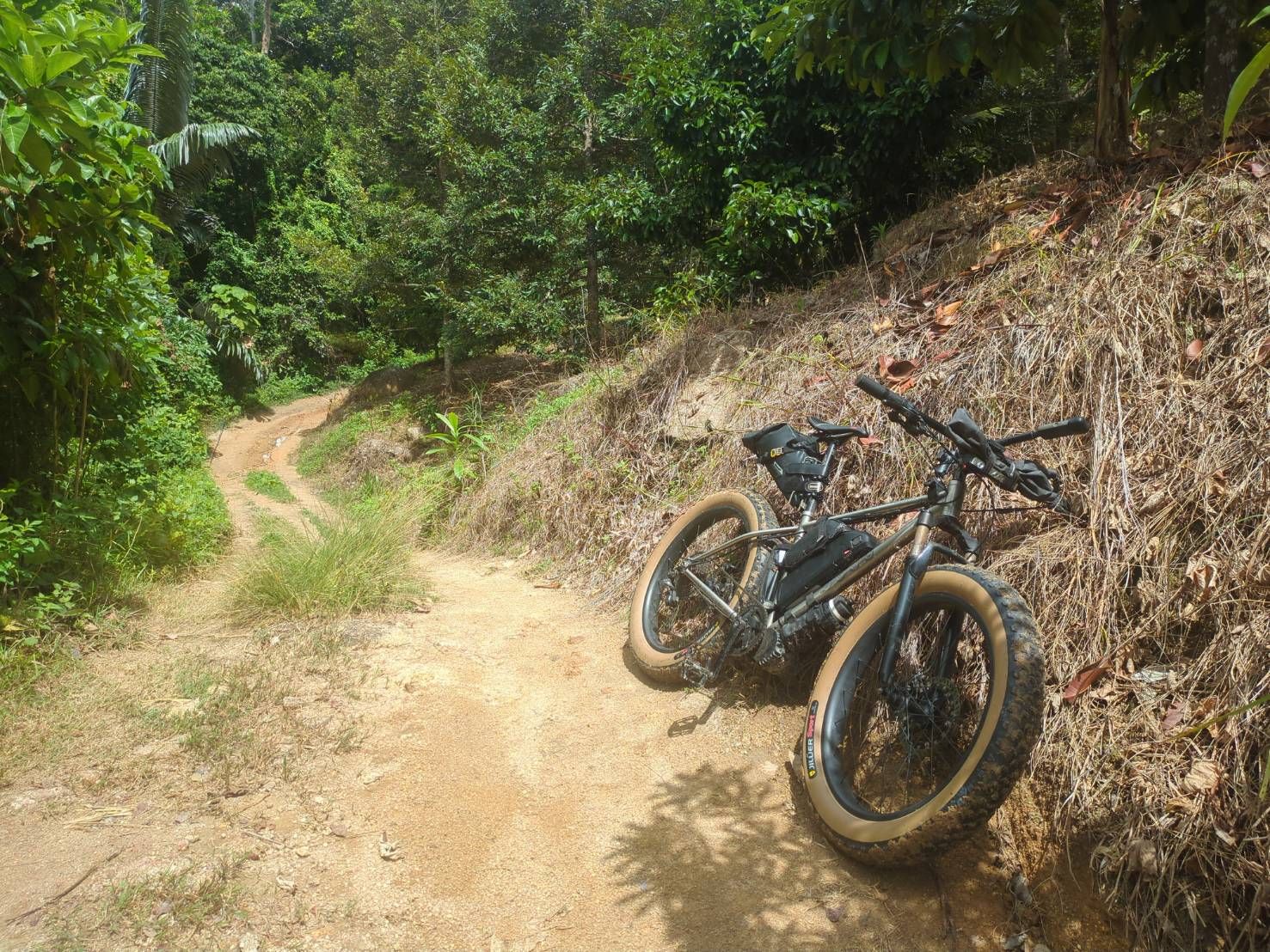 Rendezvous Local Loop