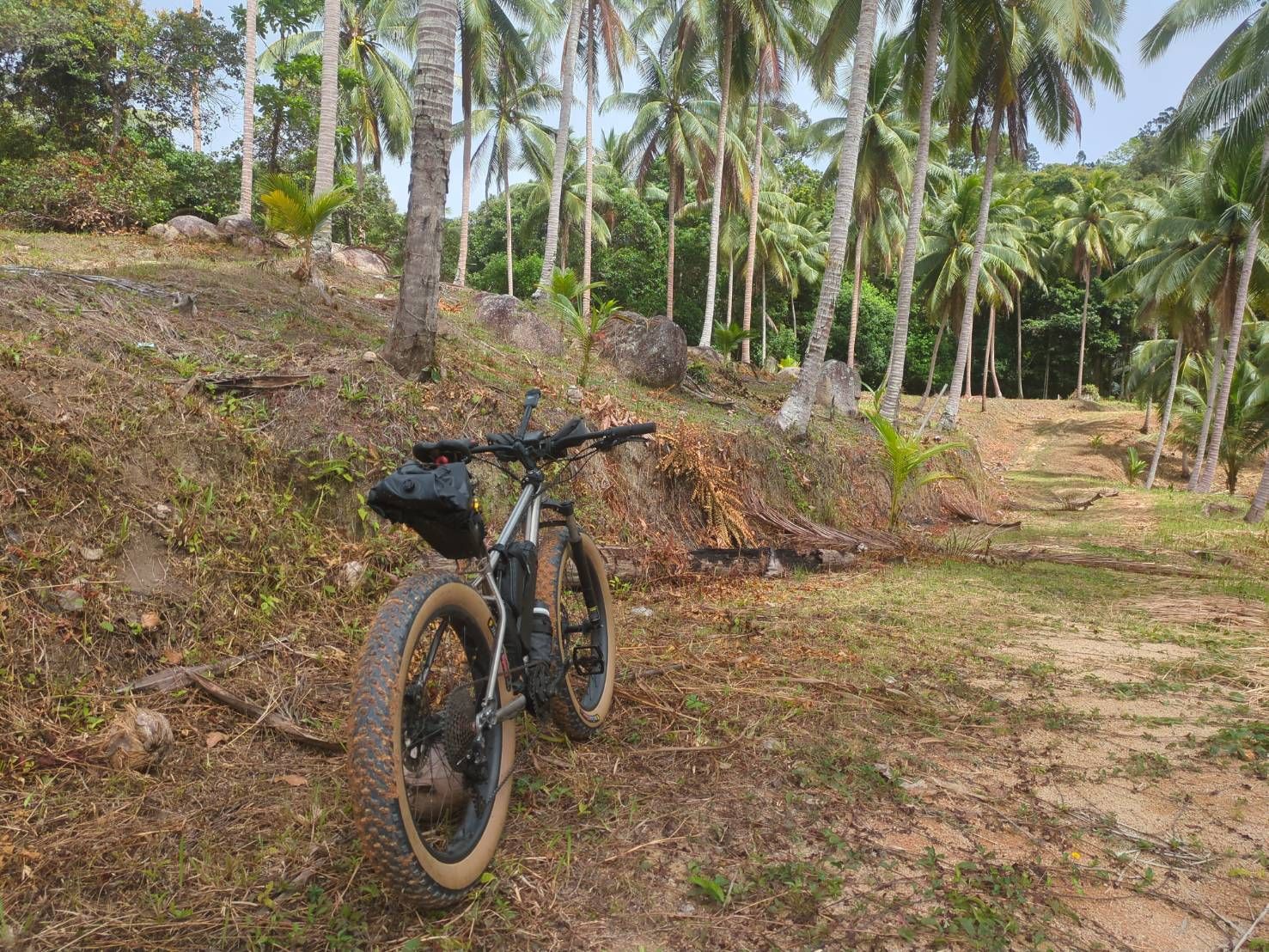 Bike in coconut grove with boulders