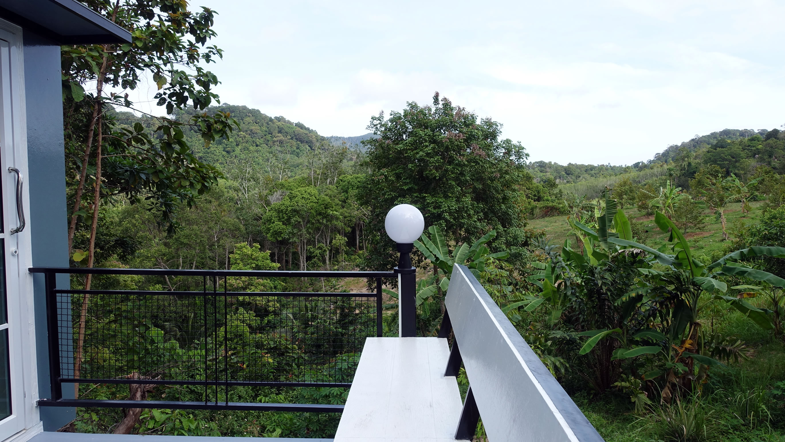 Balcony view overlooking tropical jungle landscape
