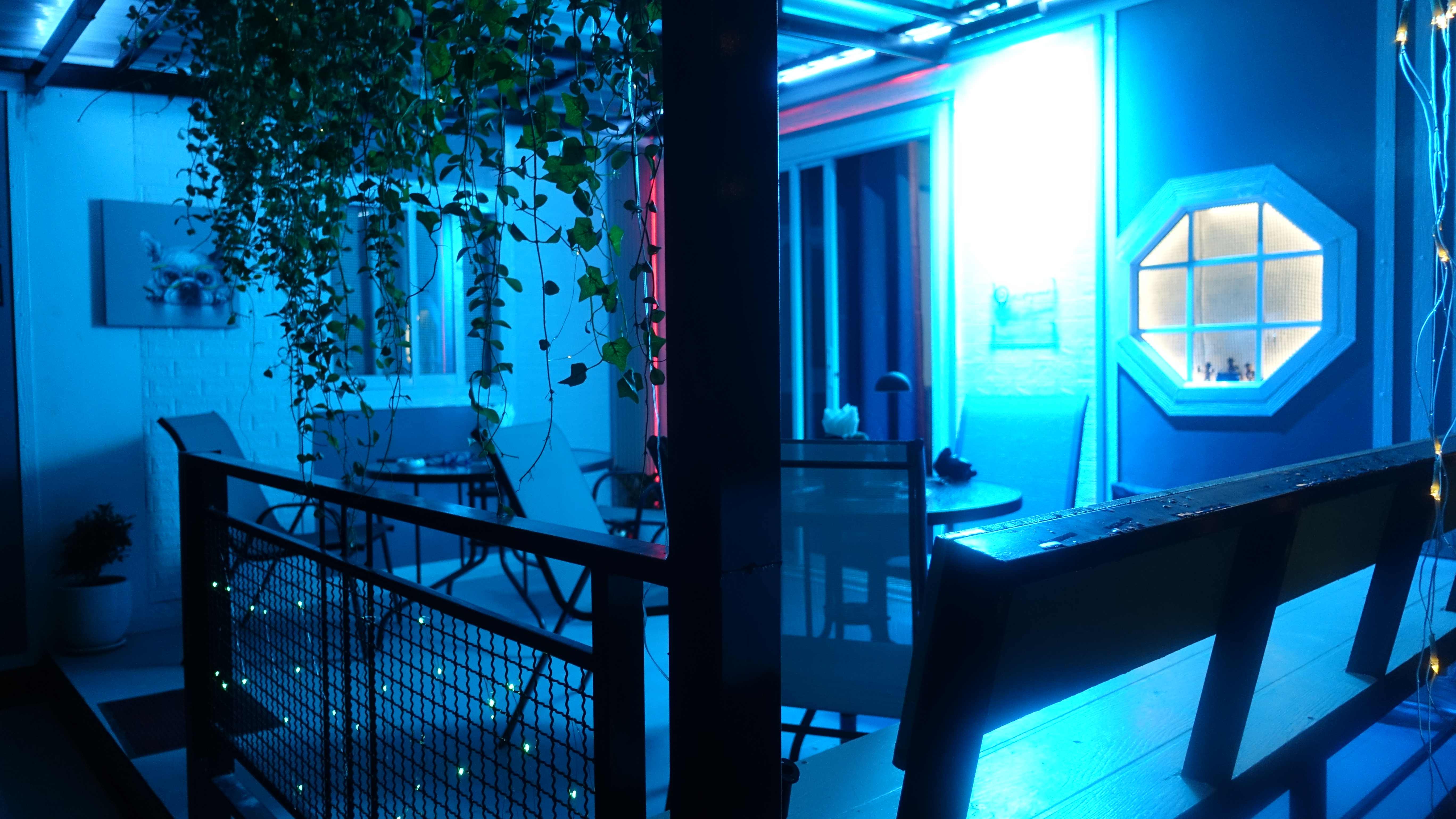 Modern interior with blue LED lighting and hanging plants