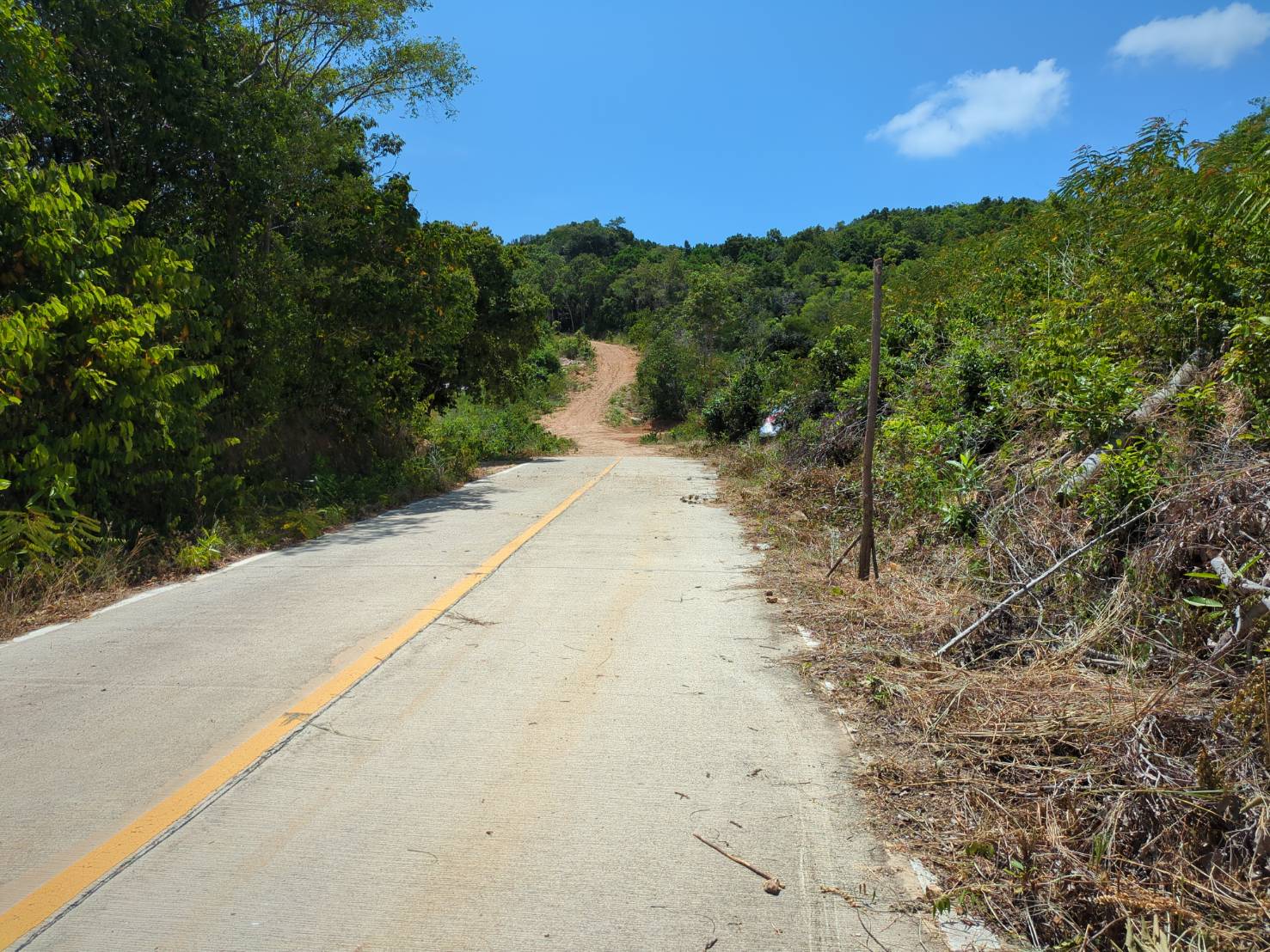 Concrete road section